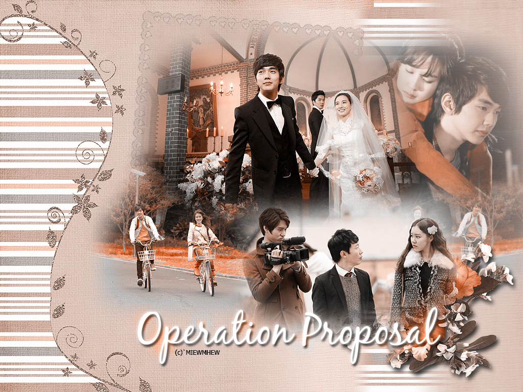 ซีรี่ย์เกาหลี Operation Proposal