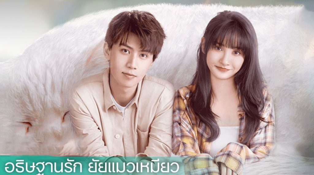 ซีรี่ย์จีน Make a Wish (2021) อธิษฐานรักยัยแมวเหมียว ซับไทย Ep.1-24 (จบ)