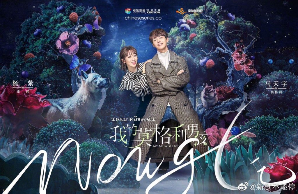 ซีรี่ย์จีน My Mowgli Boy (2019) นายเมาคลีของฉัน ซับไทย Ep.1-50 (จบ)