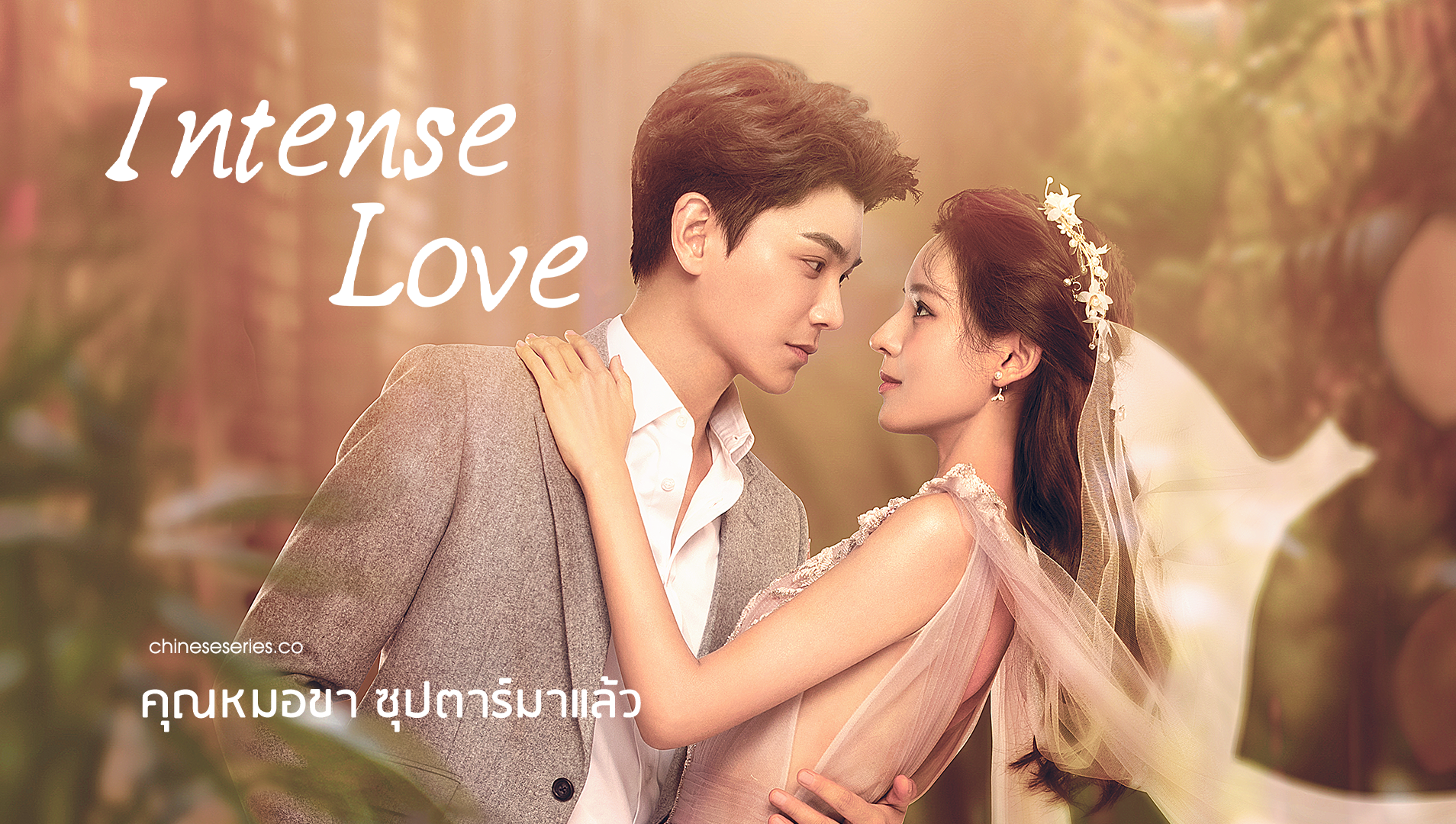 ดูซีรี่ย์จีน Intense Love (2020) คุณหมอขา ซุปตาร์มาแล้ว พากย์ไทย