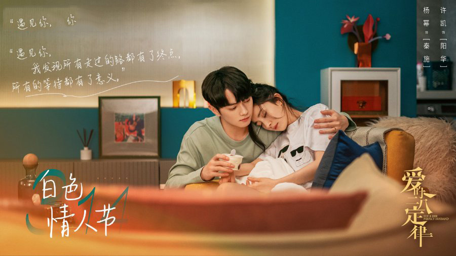 ดูซีรี่ย์จีน She and Her Perfect Husband (2022) กฎล็อกลิขิตรัก ซับไทย