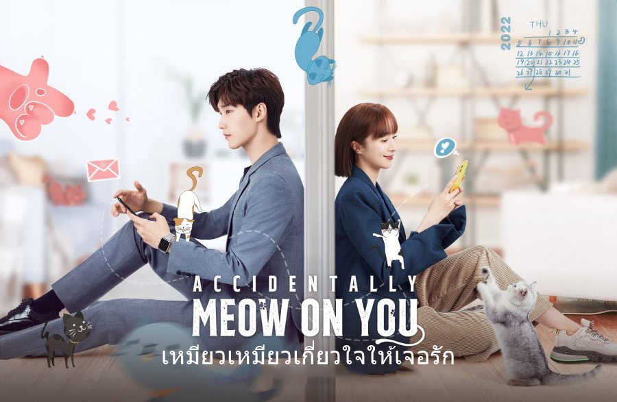 ดูซีรี่ย์จีน Accidentally Meow On You (2022) เหมียวเหมียวเกี่ยวใจให้เจอรัก ซับไทย